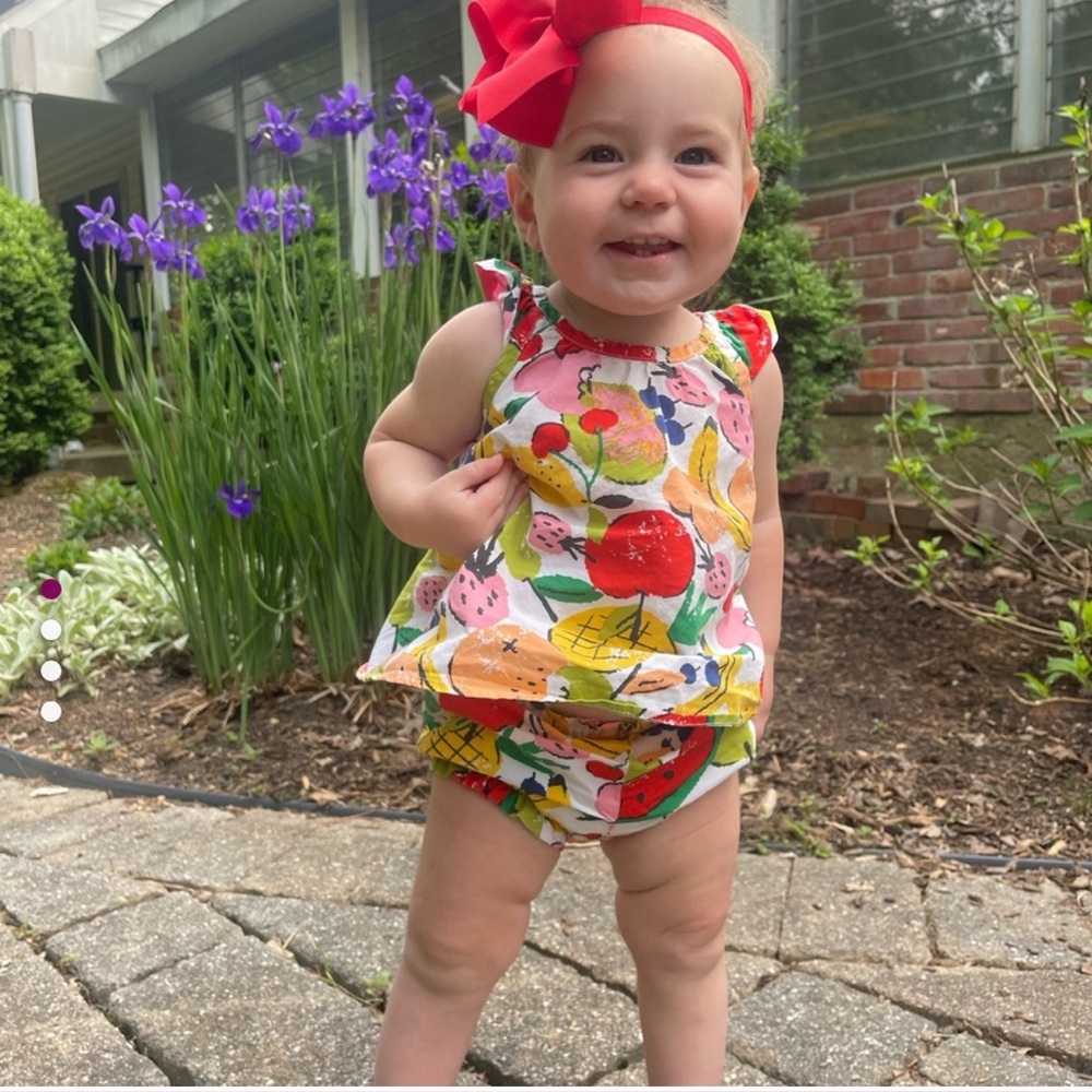 HANNA ANDERSSON EUC Multicolor Fruit Print Swing Top Bloomers Matching Set